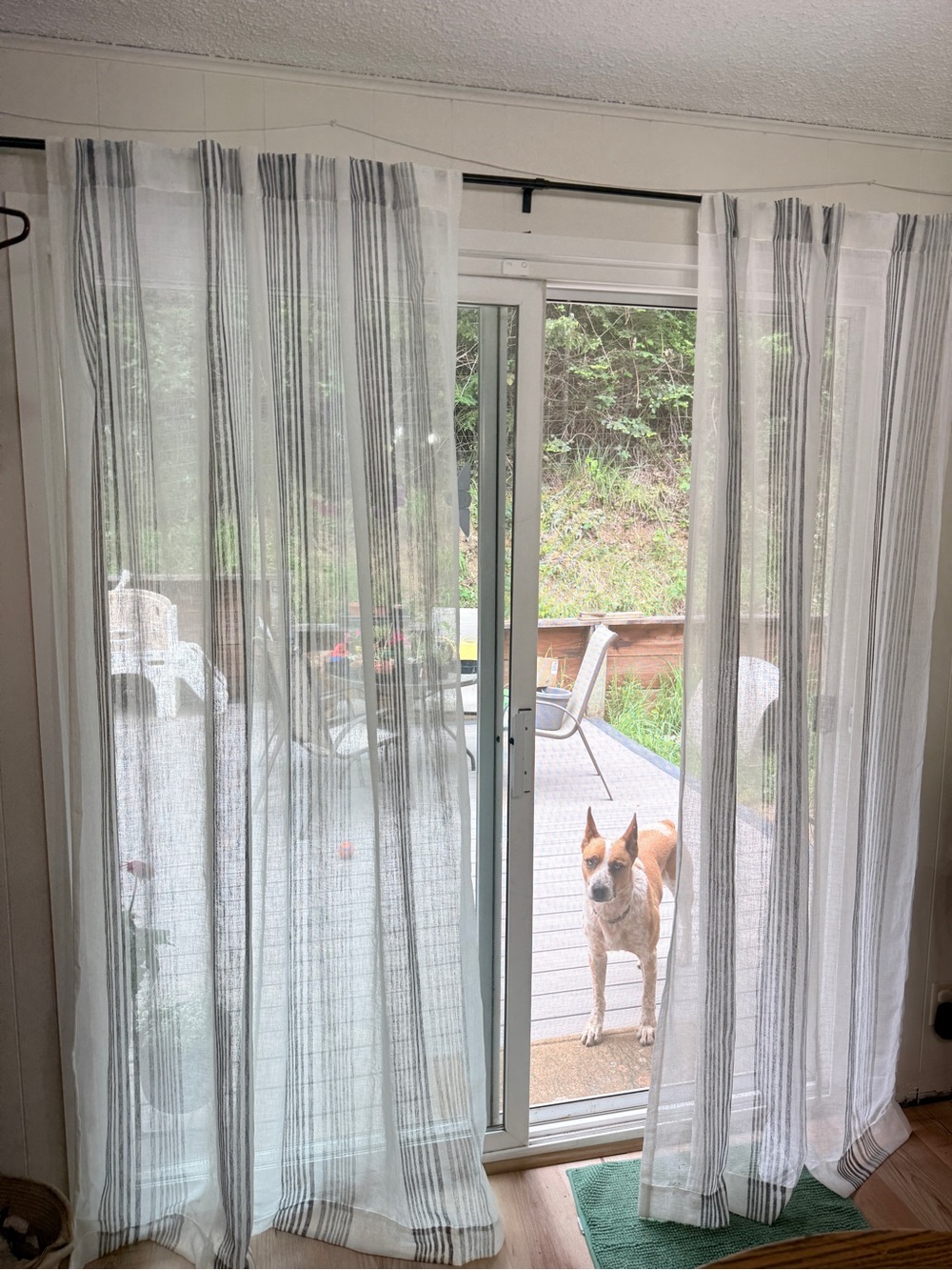 Hearth & Hand White Sheer Curtains with Gray Stripes